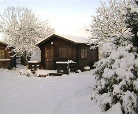 Robeanne House Holiday Accommodation Shiptonthorpe Екстериор снимка